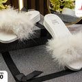 Slipper Cod 210